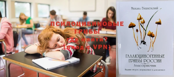 мескалин Галич