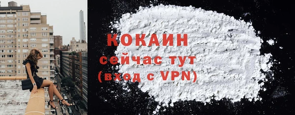 ALPHA PVP Гвардейск