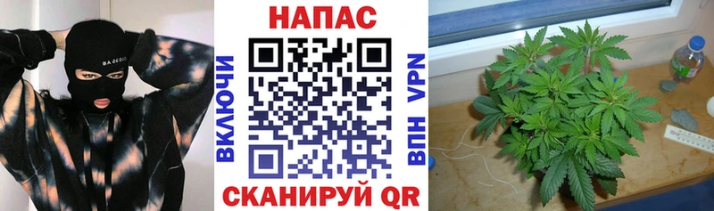 Марихуана конопля  Истра 